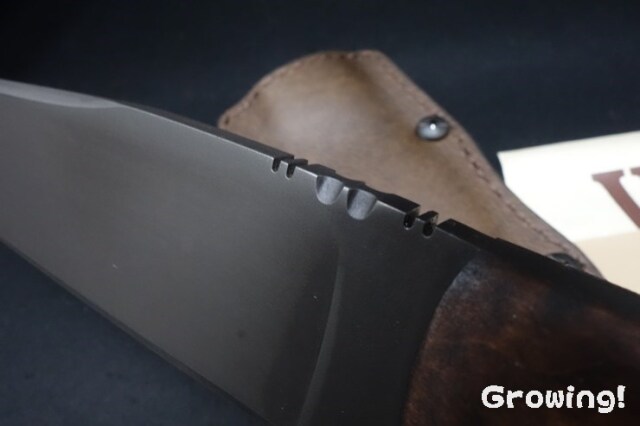 ナイフショップ グローイング！□WINKLER【ウィンクラー】□ ベルト