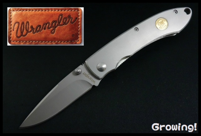 BUCK KNIVES/バックナイフ ＃112FG レンジャーナイフ 折りたたみナイフ フィンガーグルーブ Amazon.com: Buck Knives 112 Ranger Folding Knife with Finger