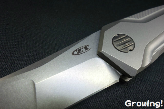 ナイフショップ グローイング！□ZT【ゼロ トレランス】□ ZT0055