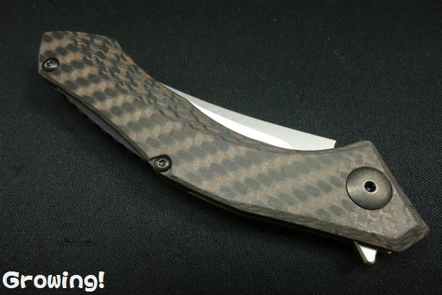 ナイフショップ グローイング！□ZT【ゼロ トレランス】□ ZT0460  