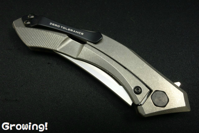 ナイフショップ グローイング！□ZT【ゼロ トレランス】□ ZT0460  