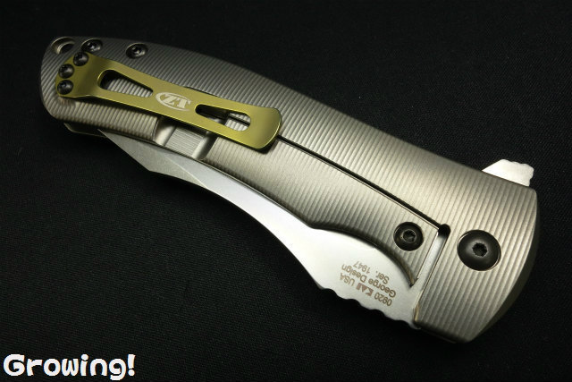 ナイフショップ グローイング！□ZT【ゼロ トレランス】□ ZT0920