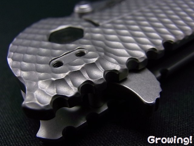 ナイフショップ グローイング！□ZT【ゼロ トレランス】□ ZT560