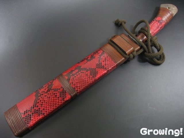 ナイフショップ グローイング！□佐治武士【さじ たけし