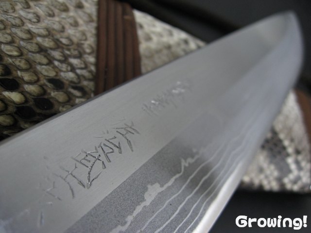 ナイフショップ グローイング！□佐治武士【さじ たけし】□ 義経 300  