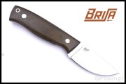 BRI362-66126-1.jpg