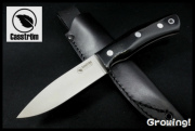 CASS13120-1.jpg