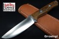 BA-BV1-CW-Bocote-27360-1.jpg