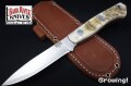 BR-AUR-SheHo-BkL-229-1.jpg