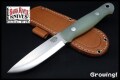 BR-BUSH-3V-GGJG10-421-1.jpg