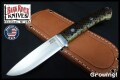 BR-CDH-MagC-BrTrout-ToxL-24293-1.jpg