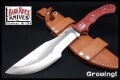 BR-TKKR-Fire-253-1.jpg