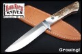 BR-WILD5-Cru-ELK-RL-2466-1.jpg