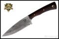 CMP-108-1.jpg