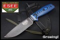 ESEE-4PB-008-1.jpg