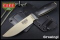 ESEE-4PDE-001-1.jpg