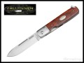 FN-GP--1.jpg