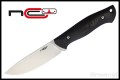 NCC-PRIDE-1.jpg
