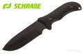 SCHF37-1.jpg