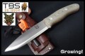 TBS-BOAR-MIL-FSS-1.jpg