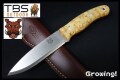 TBS-BOAR-N695-CB-NS-1.jpg