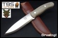 TBS-Boar-MIL-NS-1.jpg