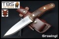 TBS-Boar-Walnut-K720-MCS-1.jpg