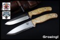 TBS-TIM-CB-DX-1.jpg