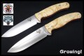 TBS-TIM-CB-NOL-1.jpg