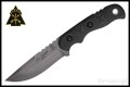 TPTEX4-1.jpg