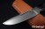 BR-ADV2-ELM-BCM-3506-2.jpg
