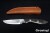 BR-ADV2-ELM-GCM-3562-4.jpg