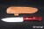 BR-AUR2-3V-Blood-SBL-4826-1.jpg