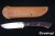BR-CDH-ELM-RGFBur-YeL-8186-5.jpg