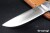 BR-MT2-Cru-ELK-RL-304-2.jpg