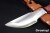 BR-TKKR-Fire-253-2.jpg