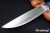 BR-WILD-Cru-Mapl-82153-2.jpg