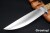 BR-WILD-Cru-Mapl-82244-2.jpg