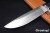 BR-WILD5-Cru-BCM-2406-3.jpg