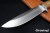 BR-WILD5-Cru-Ore-2420-2.jpg
