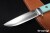 BR-WILD5-Cru-SeaG10-40363-2.jpg