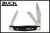 BU303BRS2-BU303BRS3-1.jpg
