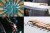 Beavercraft-02.jpg