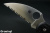 C11FWCBK-2.jpg