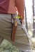 CASS12808-12.jpg