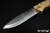 CASS17004-2.jpg