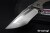 CKF032-2.jpg