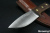 CTK3936-257HC-2.jpg