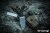 ER0463SW-DW-12.jpg