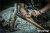 ER0463SW-DW-15.jpg